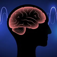 Illustration of a pink brain in a silhouette on a background with brainwaves.&nbsp;